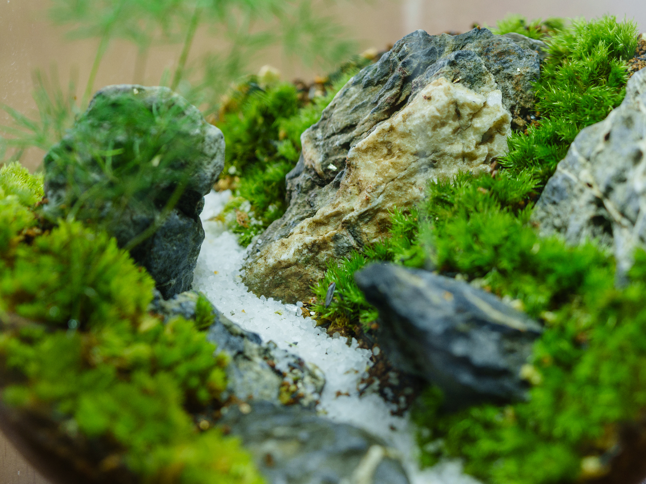 ̌łƍ肽Ǝvɂ͖{iIȐ샏[NVbvj[pӂĂ܂B(1/JÁBڗ\)