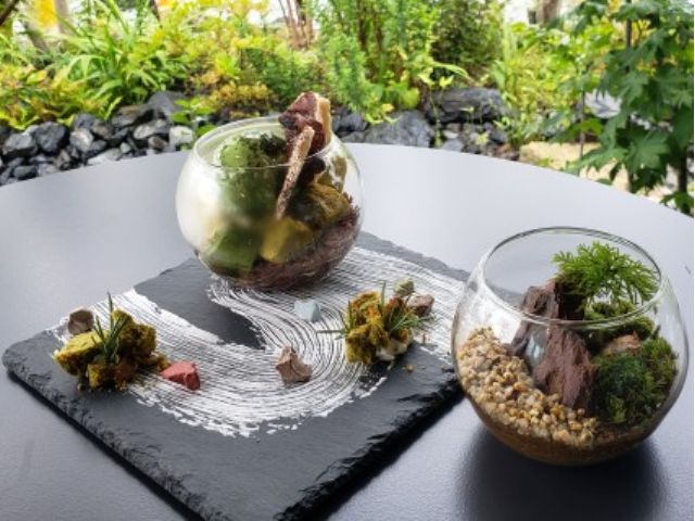 苔テラリウムパフェと苔テラリウム。映えること間違いなし!