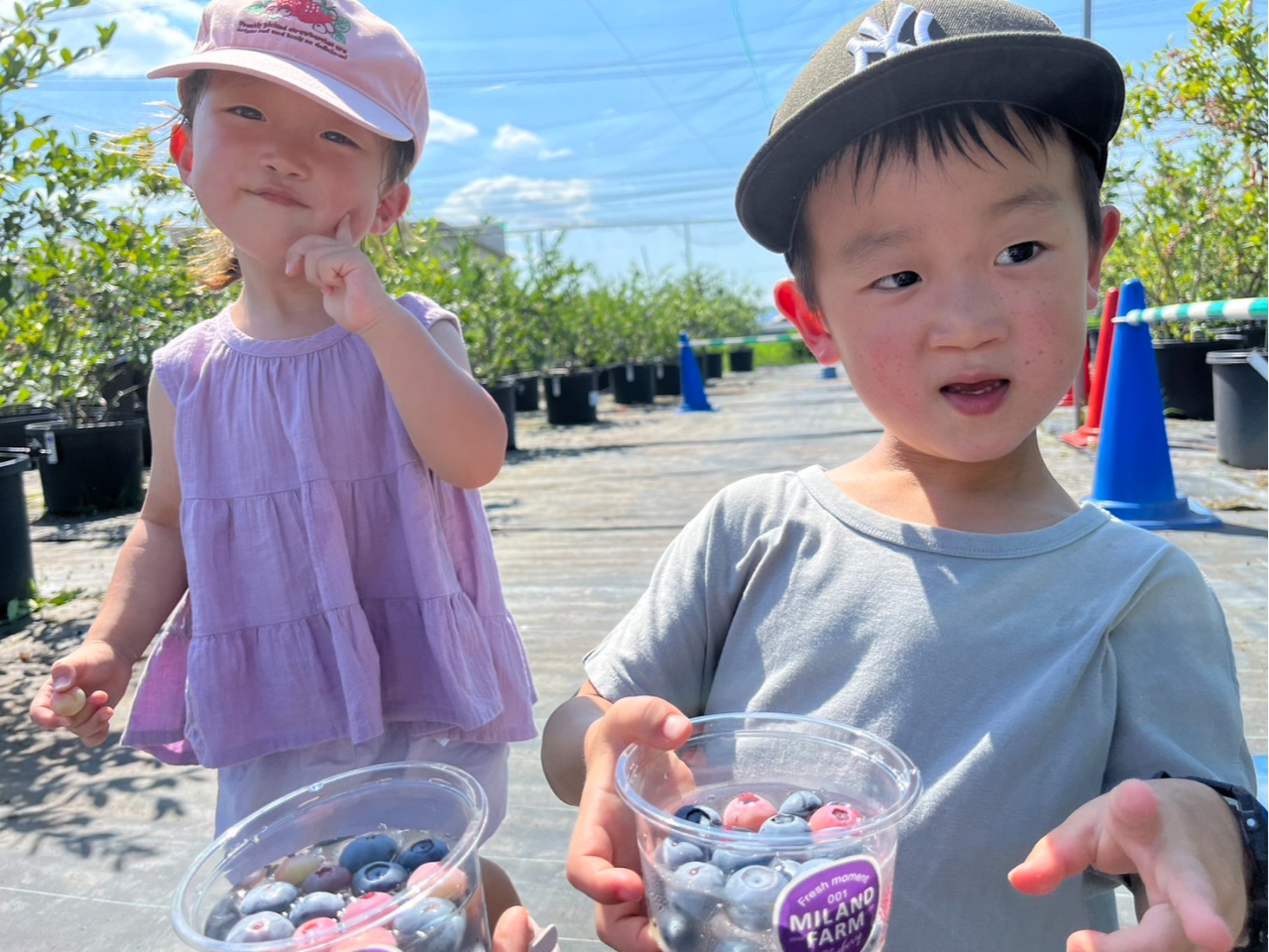 ���q�l�ł��͂������ɂ�������̎����Ȃ��Ă��܂��̂ŁA�I�񂾎�����������ĐH�ׂĒ����܂��B