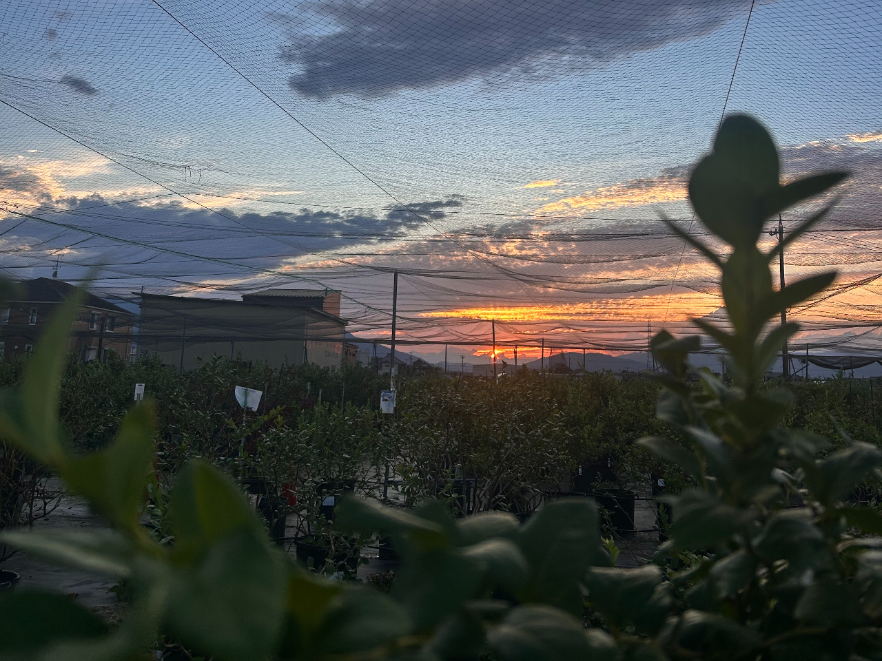 �������[���Ȃ�A�v��������u���[�x���[�����y���߂�I