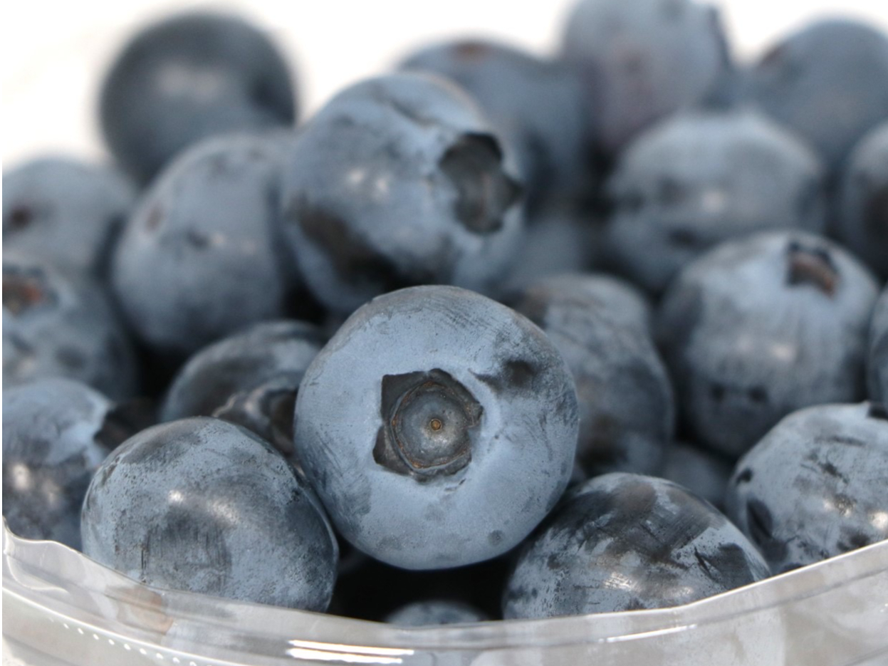 40���650�{�ȏ�̃u���[�x���[������܂��B�펞4��ވȏ�͐H�ה�ׂ��Ă��炦�܂��B