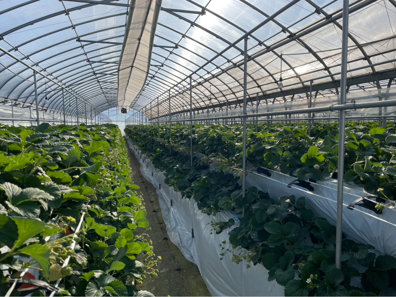 nEX͍LXƂĂ̂ŁA肽Ղ肢y݂܂I