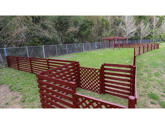 広々ドッグラン付のテントサイトです♪(小型犬のみ可)