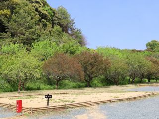 テントサイトイメージ ※テント等はお持ち込みください