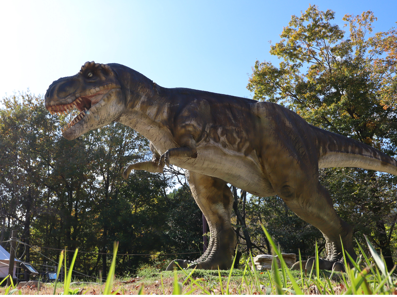 西エリア 恐竜広場