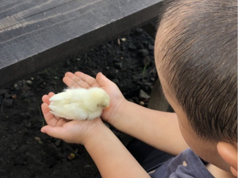 qR񂩂킢IiɂqR񂪑lɂȂĂꍇ܂B⍇Bj