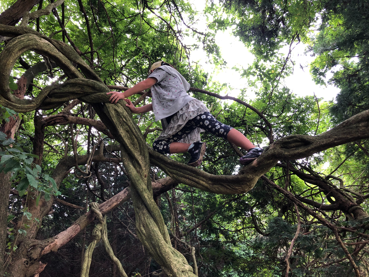 lC`[[hɂ͓oĊy߂؂IؓoɃ`FWIi摜FVR̃tWcɓoĂ܂j