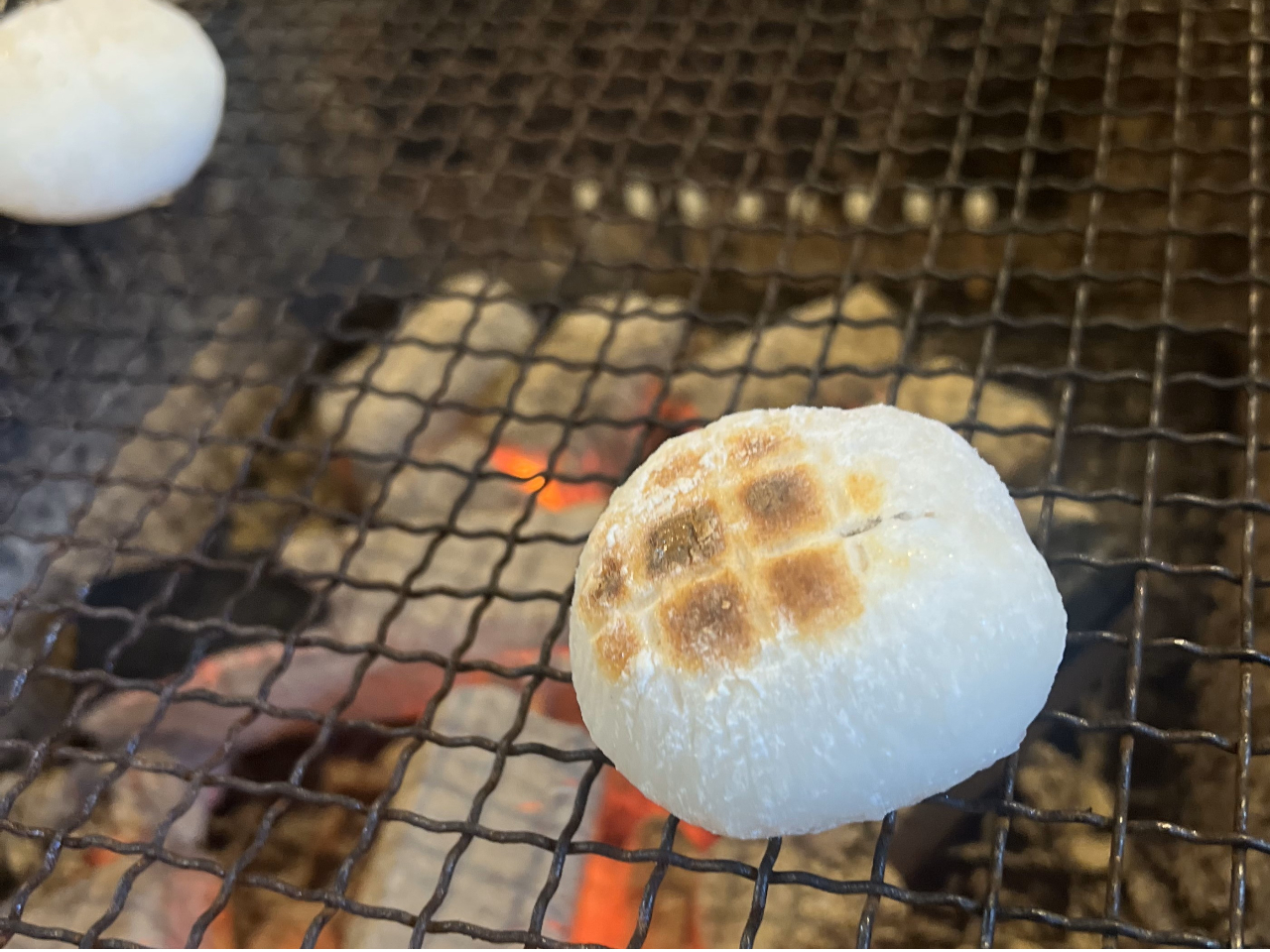 Ă݂̂Y΂ŏĂĂD݂̖tŁ