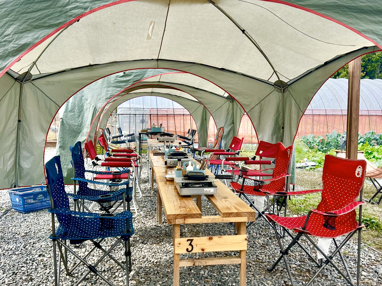 LvMAŎԂŃLvC𖡂킦܂I