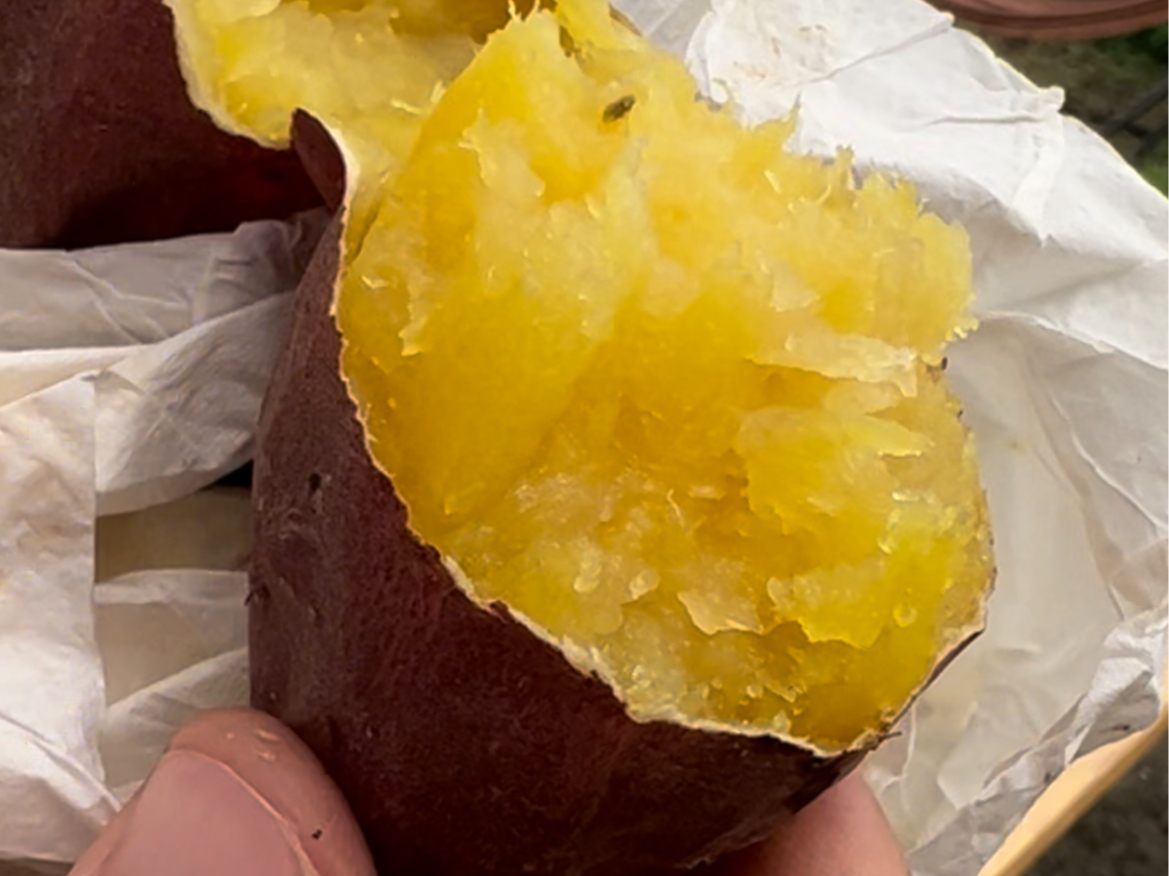 zNzN̏ĂR̒Ŗ킦܂