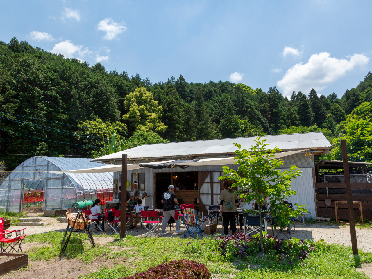 3000u̕~nɃrj[nEXƘHn͔|ł̖؂Ă܂