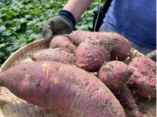カゴを持って畑へ出発!