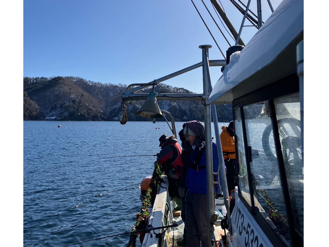 {B{݂ɑDÂĎɊC̃JCACi_܂ÎقFXI