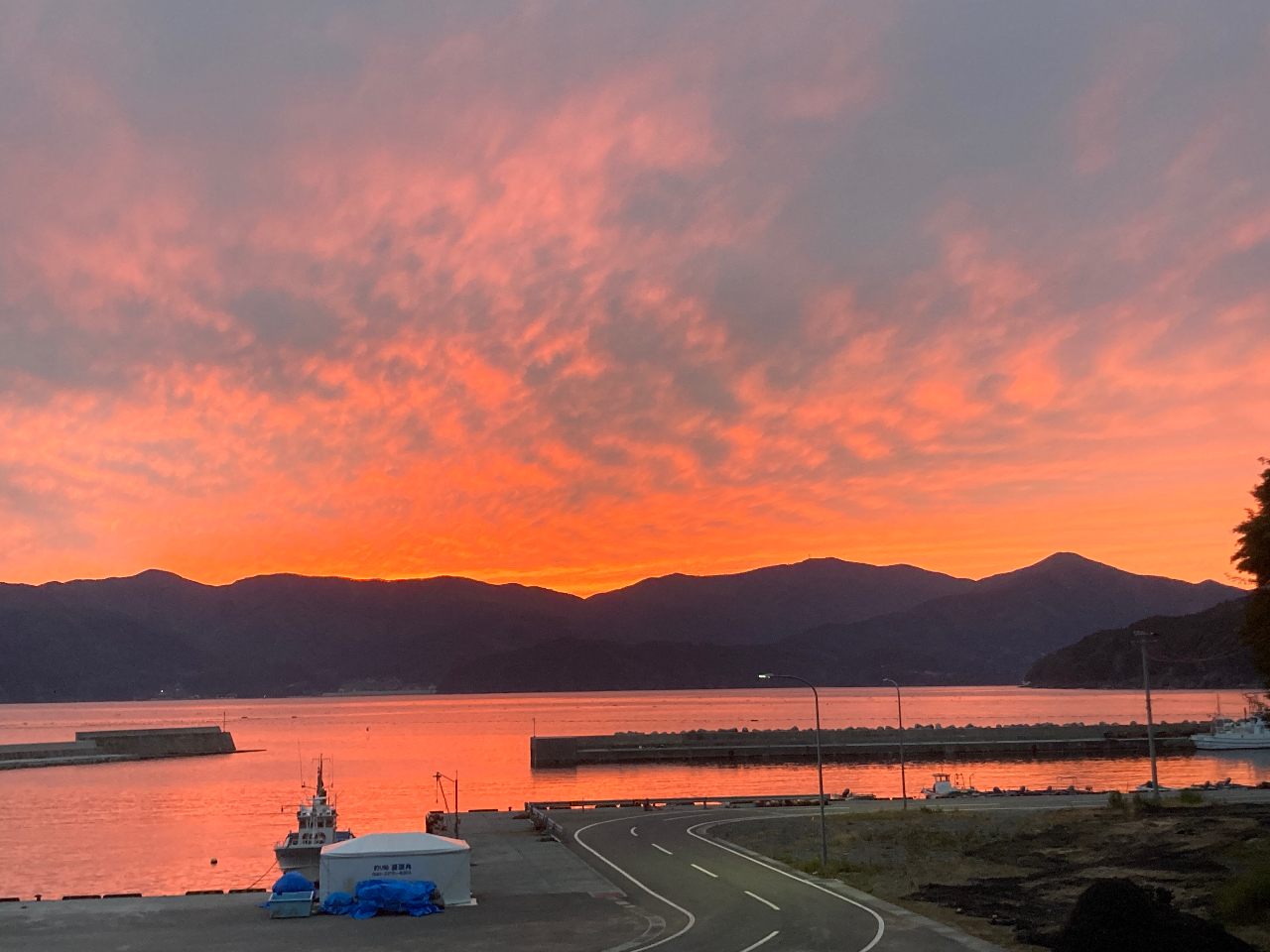 H̗[ĂBʐ^HĂ܂Iނ肾ł͂ȂYȊCĂĂقB