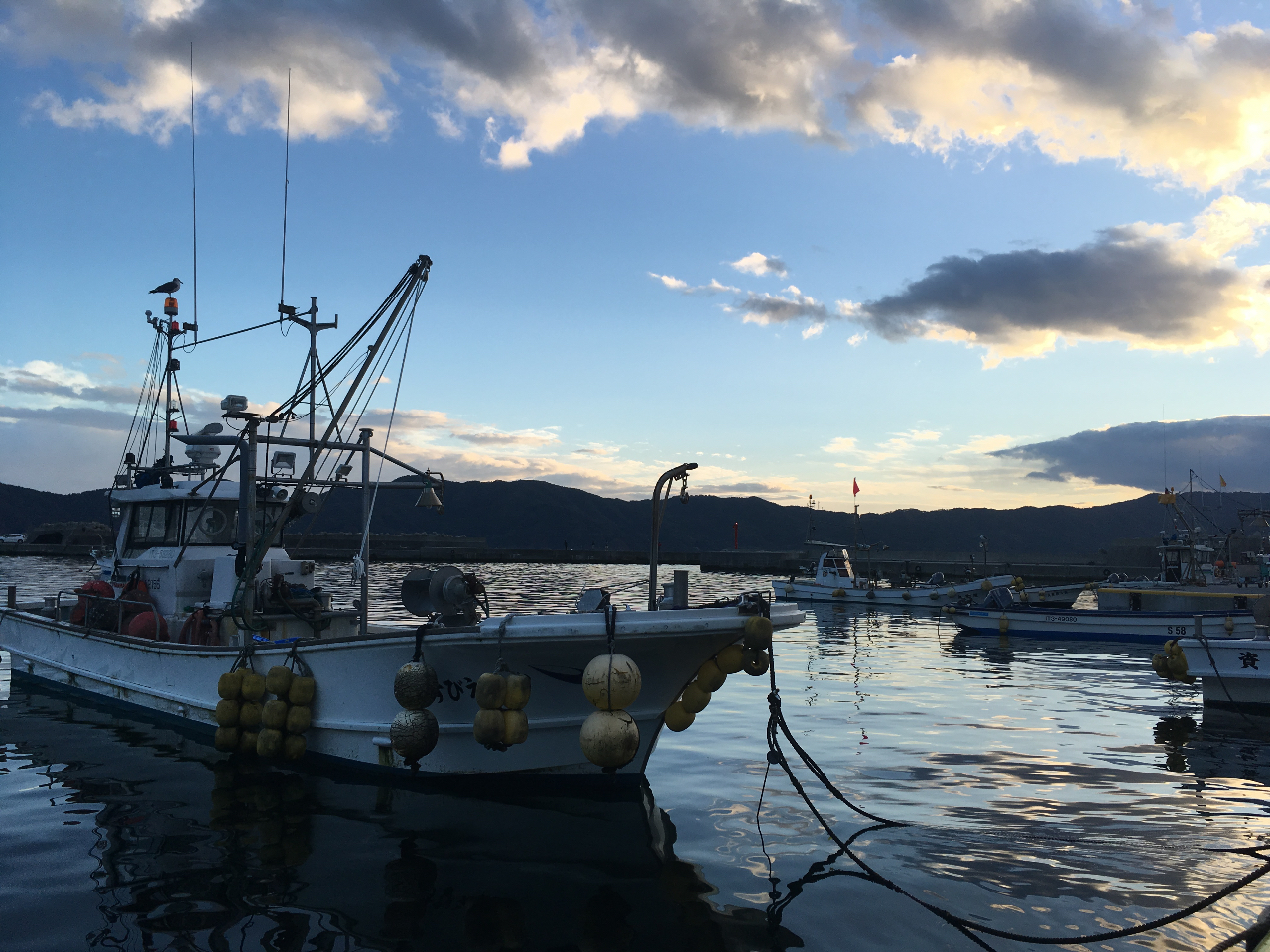 2011N̐kЂőD܂AV̑_ƂƂɓXCɏoĂ܂II