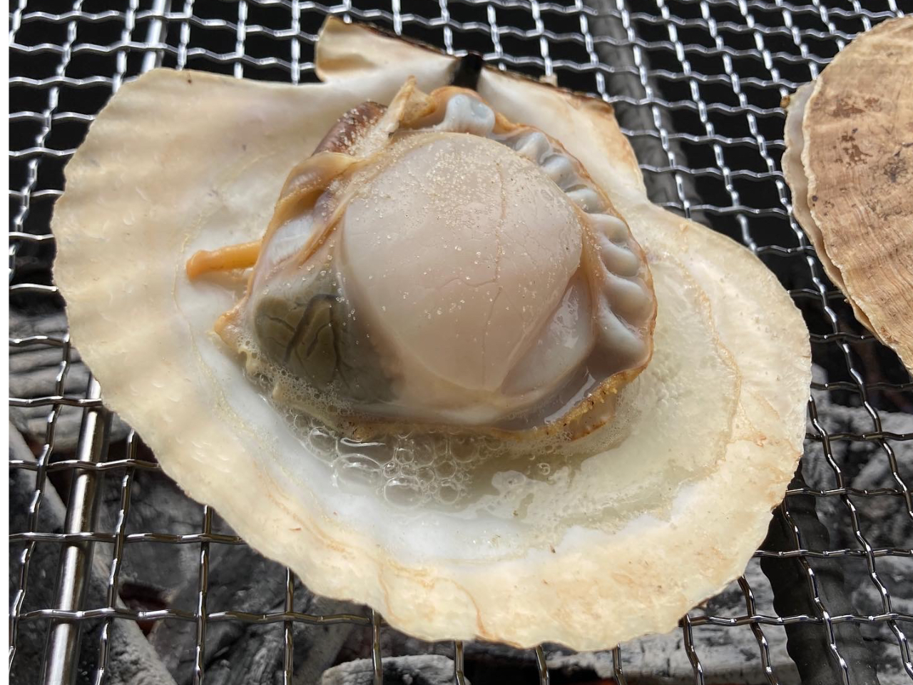 ǉŒ삦тێ́Âꂽăz^e̔sĂ܂IA̍ۂɂ͂ЂyYɂ߂I