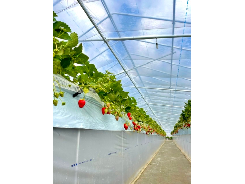 �ʘH�����L���̂ŎԈ֎q��x�r�[�J�[���ʂ�܂�