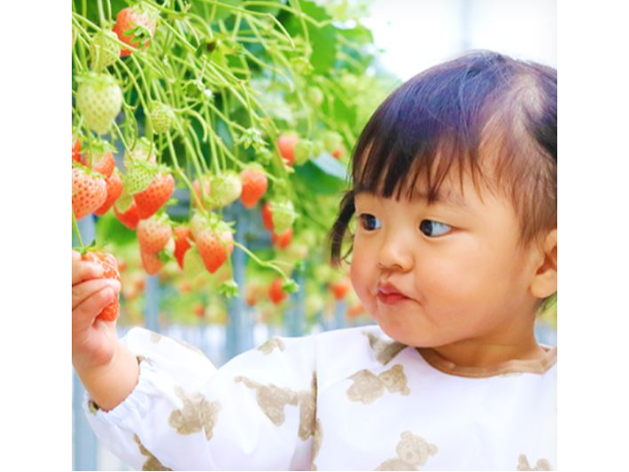 【じゃらんのお得な10日間】【じゃらん限定】50分間いちご食べ放題☆最大6品種食...