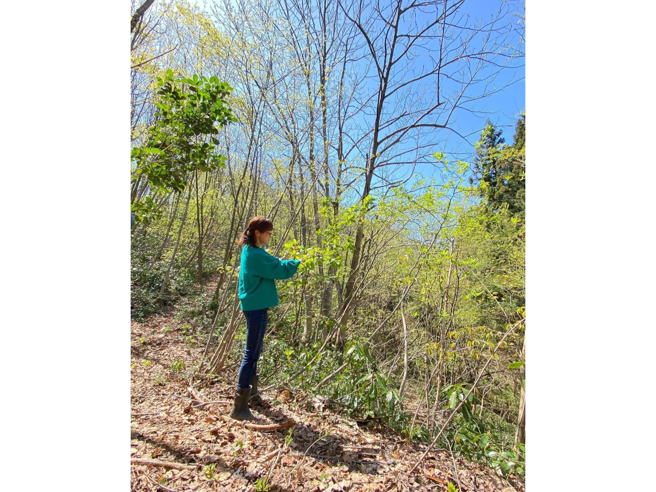 A[V̓~zā@tLn߂؁X@@@Ȑz̒Ł@܂@Ȃ₩ɈĂɁ@@hӂ߂