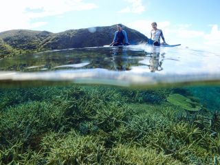 透明度抜群の青い海♪とても癒されます( *´艸`)