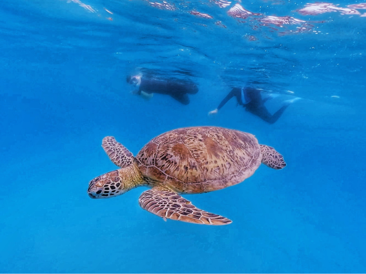 自分たちだけの特別な空間で感動体験☆☆
カップル旅行や家族旅行など特別な人と素敵な時間が過ごせます(#^^#)