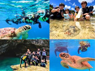 石垣島大人気スポット、青の洞窟探検にウミガメシュノーケル!クマノミや星の砂にも出会えるよ♪