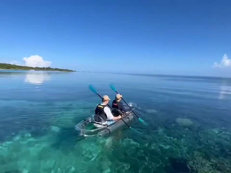 �����𔲂�����ɂ͐약�u���[�̊C�I
