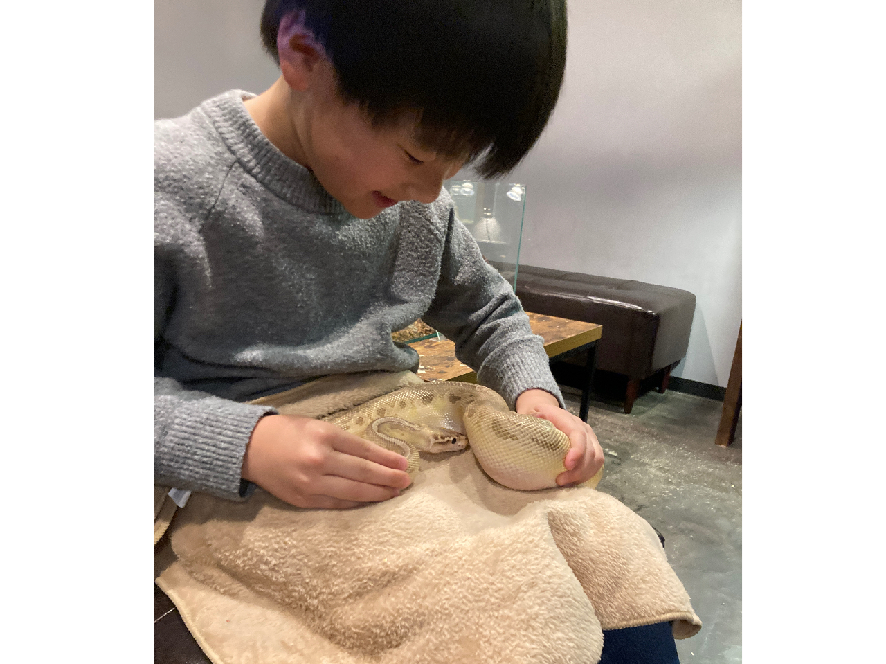 優しい子たちばかりです