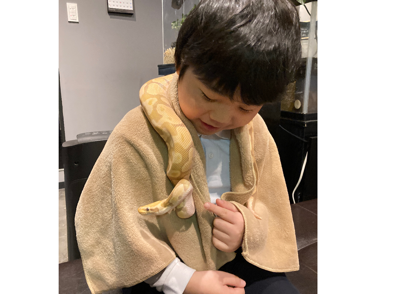 【日中開催】爬虫類カフェ体験・ふれあい1匹付きプラン!