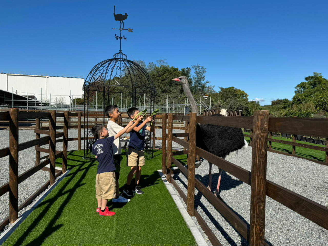 傫ȃ_`Eڂ̑O܂łĂ܂BqɂWpl₽܂TCxgȂǊyd|I