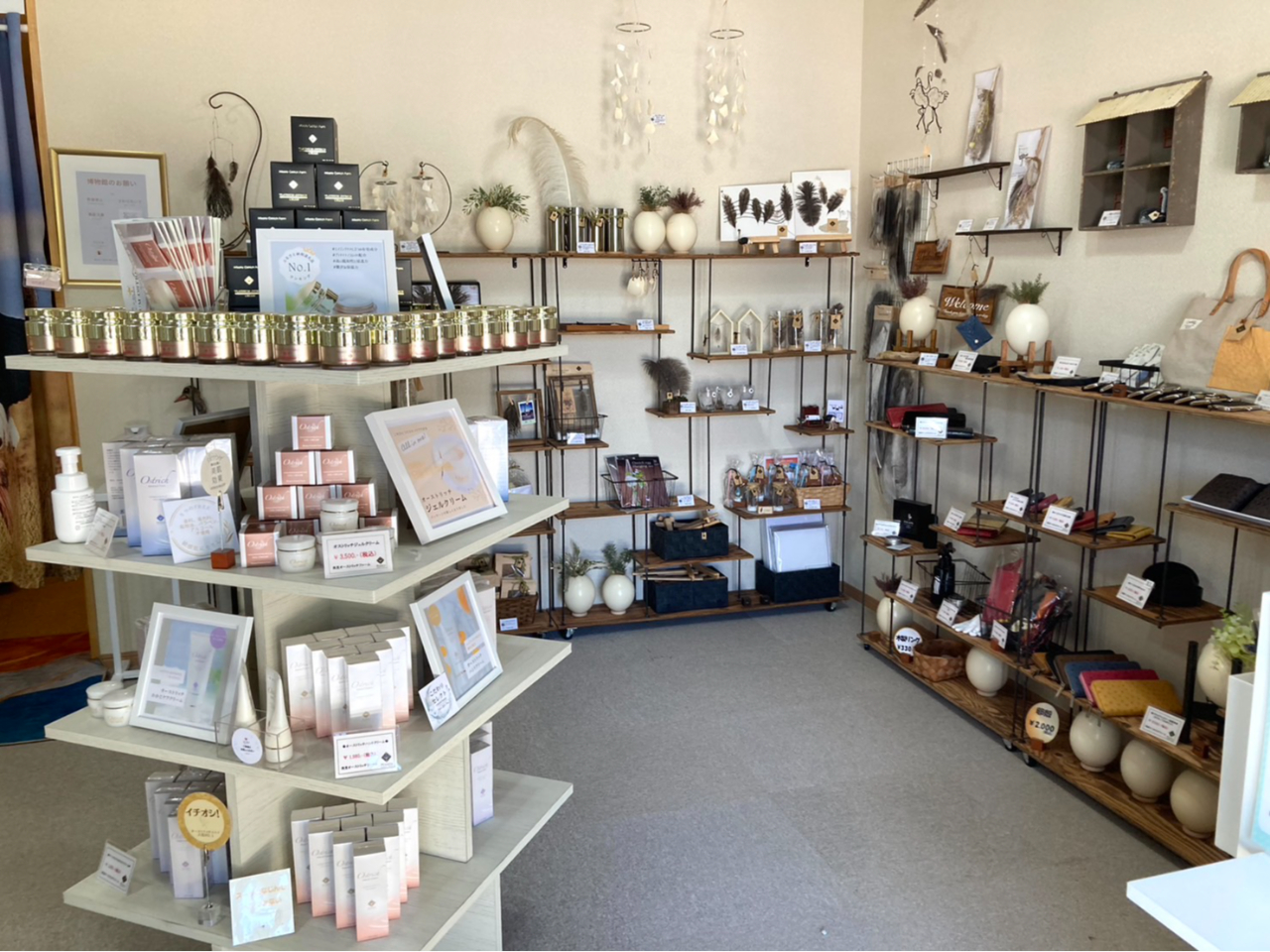 VbvŗlXȃ_`Ȅii_`EAAϕiAvȂǁjwł܂B͋G߂ɂĂ͍݌ɂȂƂ܂