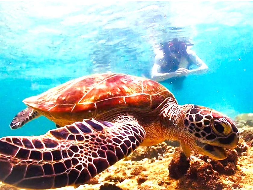 XIVm[PO|Cg̓E~K̎Ynł܂() ̈׍mŃE~K邱Ƃo܂