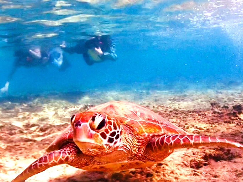 mŃE~KƏo܂ XIVm[PO|Cg̓E~K̎Ynł܂() ̈׍mŃE~K邱Ƃo܂