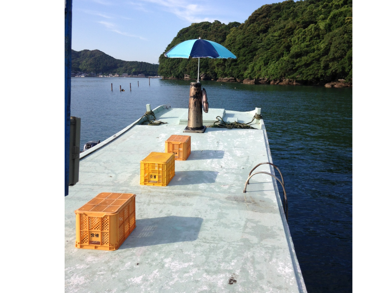 ͕̏łBSɒނ肪ł܂B