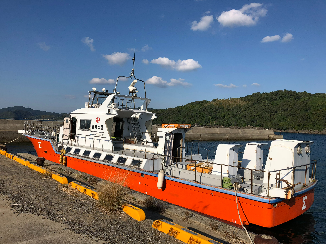 l̏ꍇ͂TȎ^D𗘗p܂BʓrkB