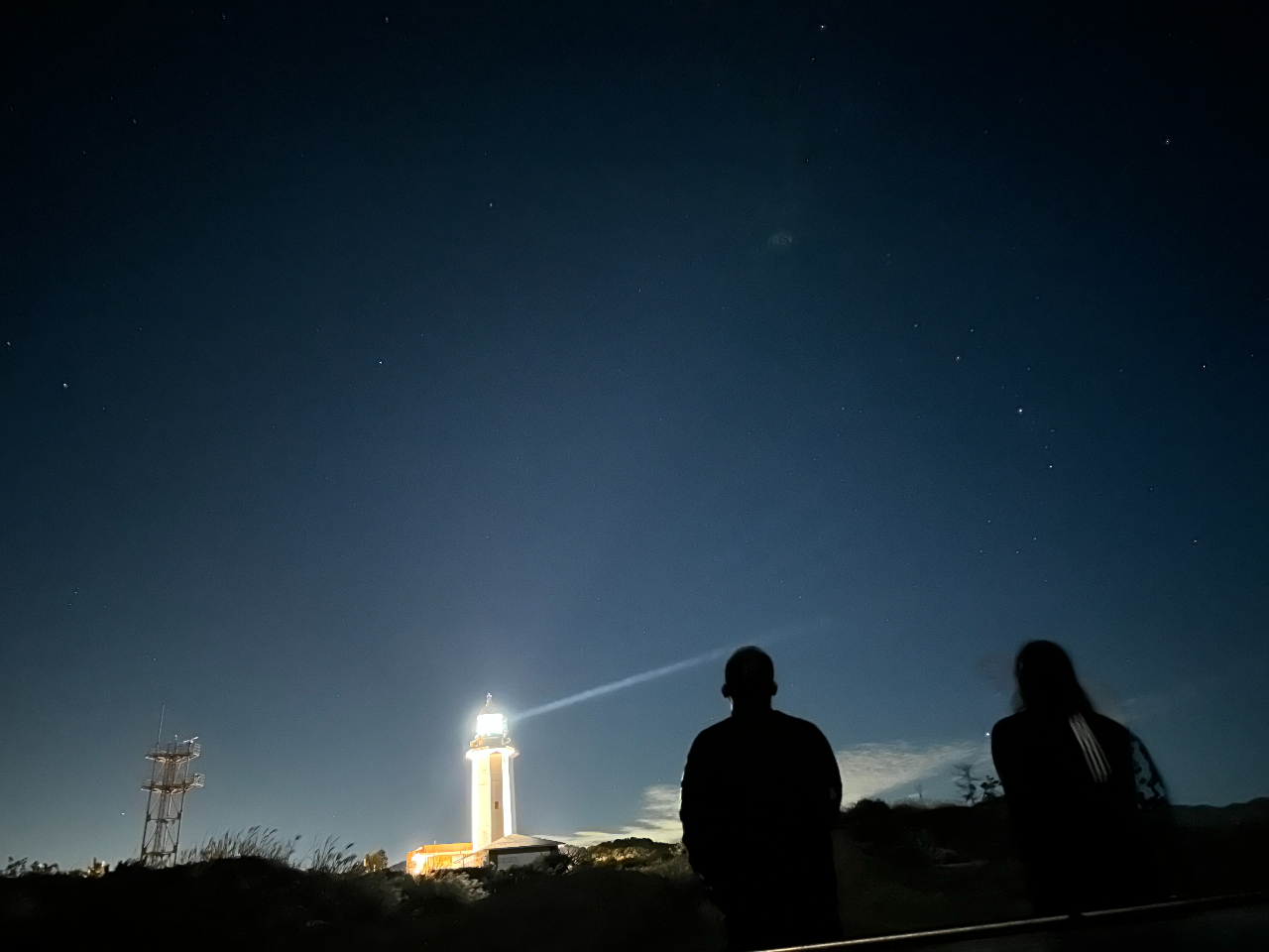 �ϑ��ꏊ�͖쓇�铔����ӂł�