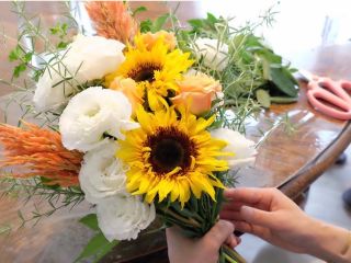 写真はイメージです。