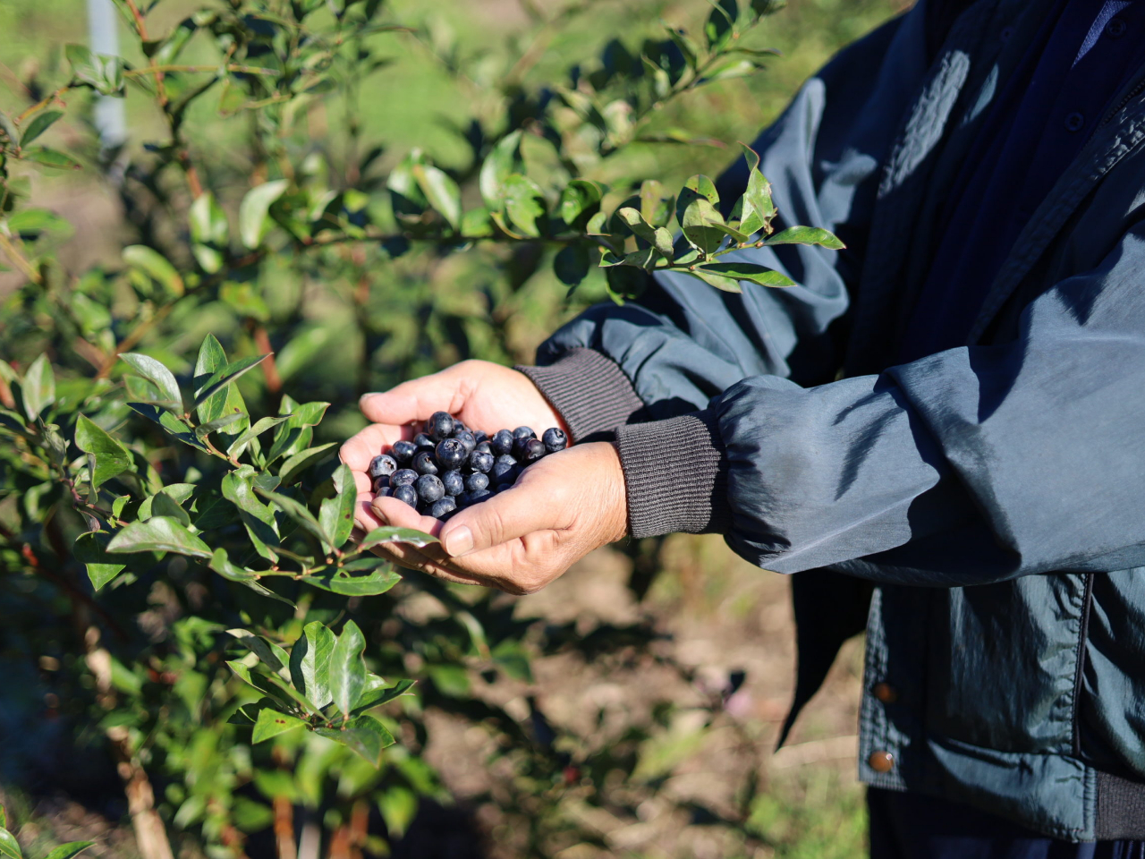 _ł́AÂ݂Ǝ_̃oXƂꂽunCubVnvƓx̍urbgACnv2ñu[x[͔|B