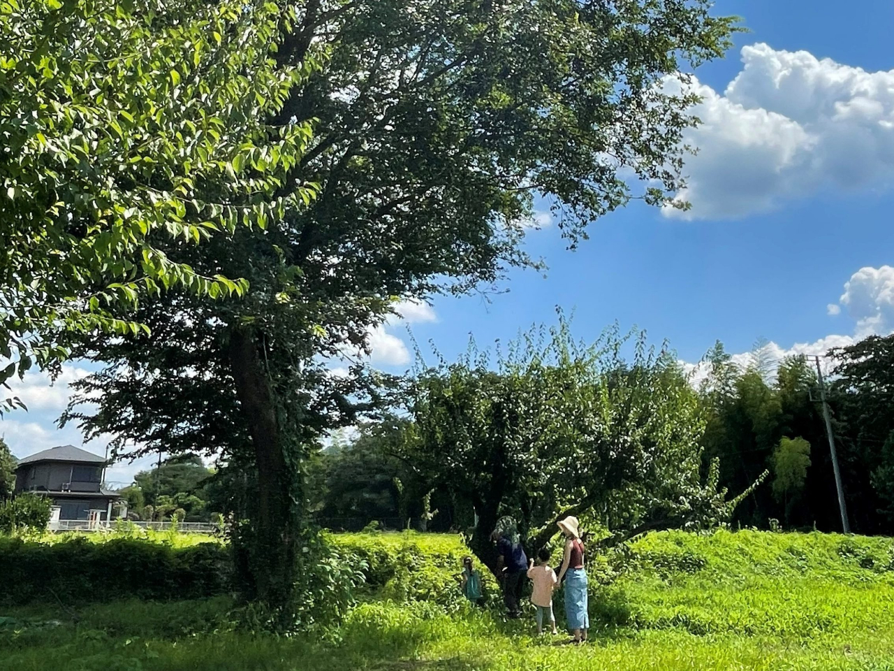 LXƂ~nɂ́AW[V[gЂ낰LBٓł̃sNjbNAqƂ̒ȂǁAvvɂ߂B