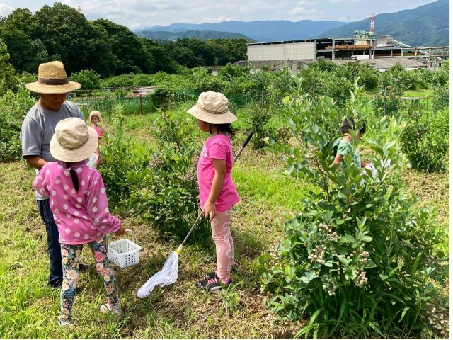 園内にいるバッタやチョウを捕まえようと走り回る子どもがいっぱい。