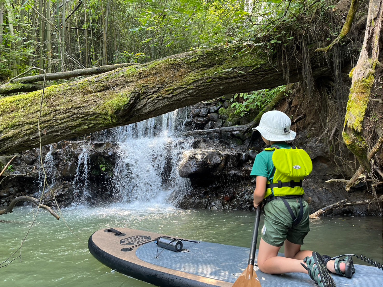 ��̃}�C�i�X�C�I����������