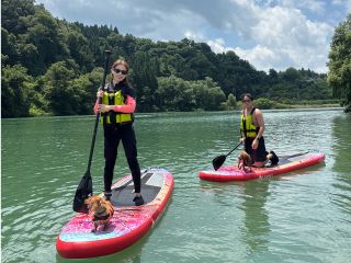 憧れのDOG SUP