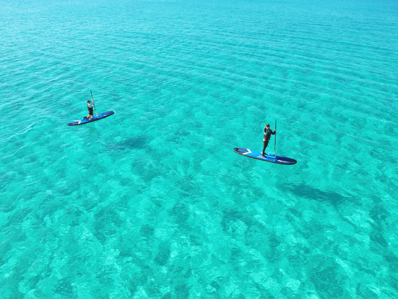 h[ł̎Be͂ȂYɎBeł܂I