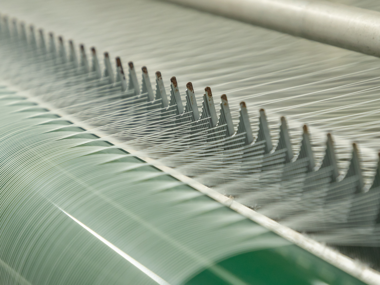 きれいに並ぶ縦糸