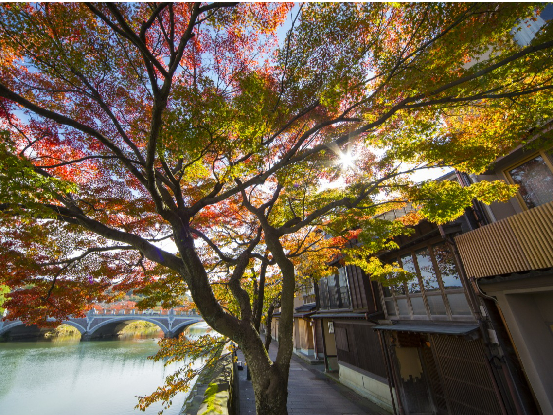 【じゃらん限定プラン!】ひがし茶屋街 ~大人気周遊35分コース!観光ガイド付き~...