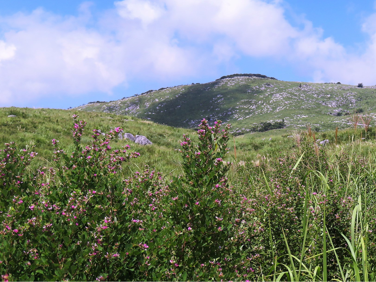 �H�̕�����