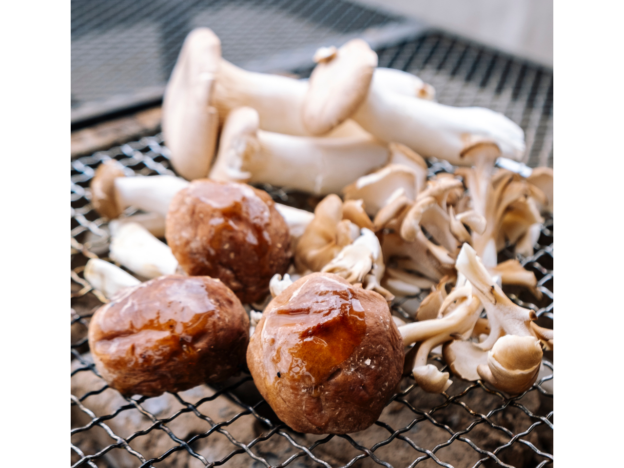 H̖oûiőAԂȂ߂A}C^PAGMjv