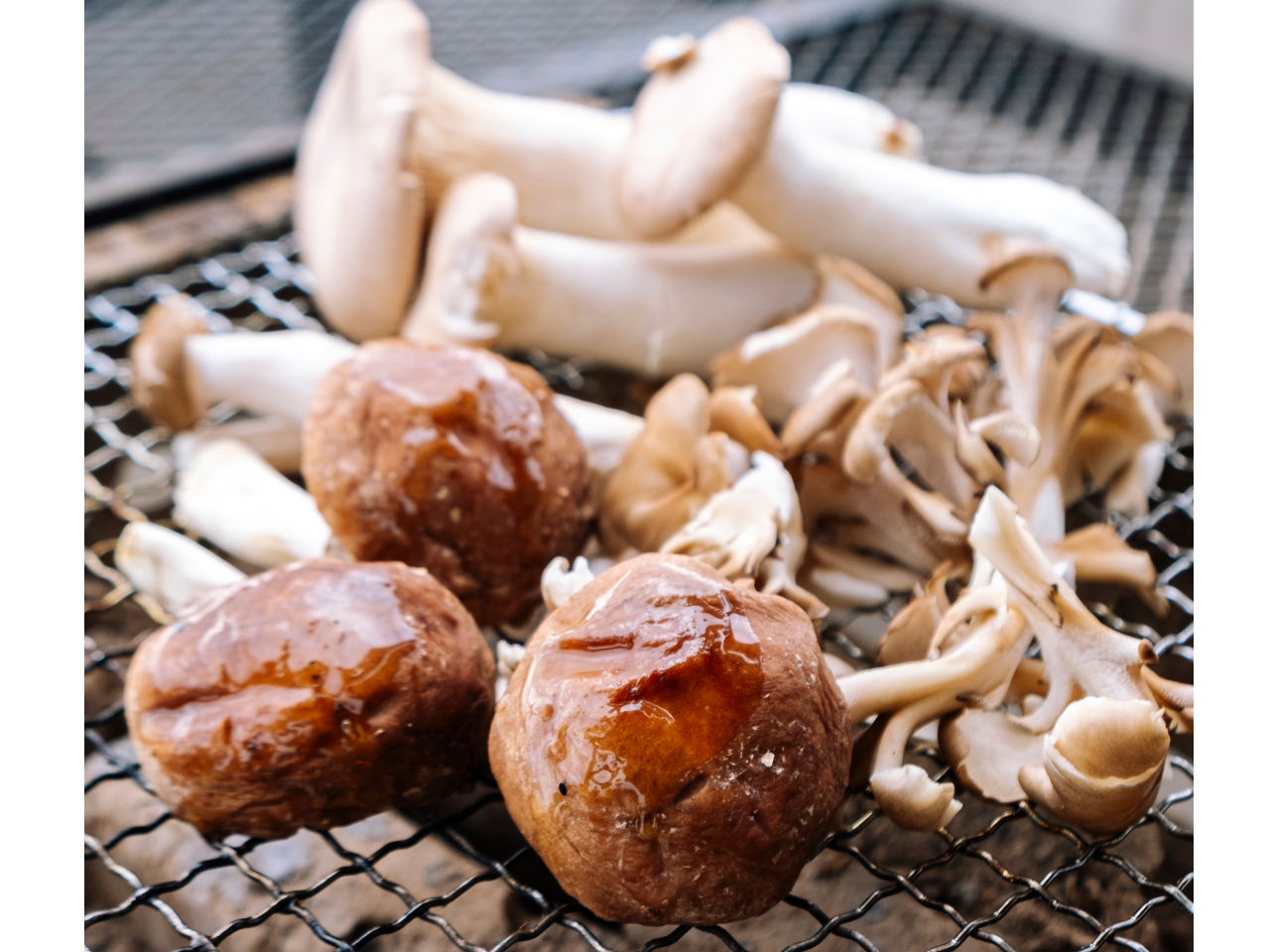 H̖oûiőAԂȂ߂A}C^PAGMjv