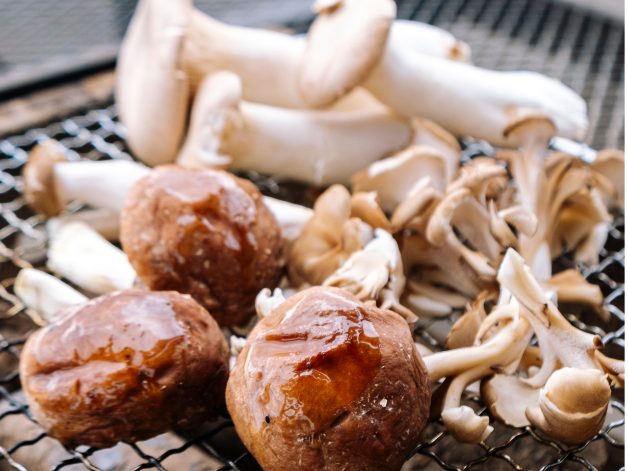 H̖oûiőAԂȂ߂A}C^PAGMjv