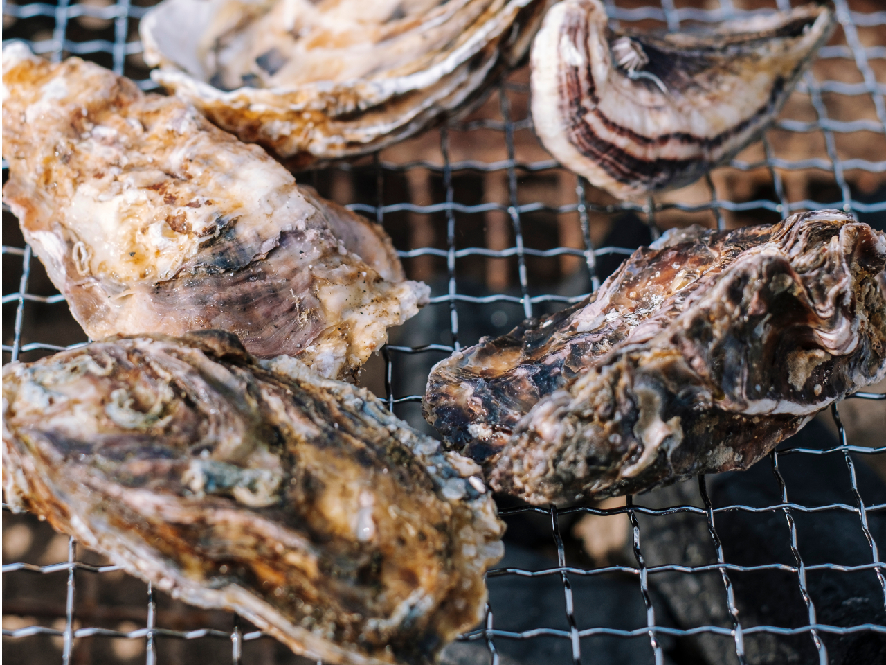 【冬限定】これぞ冬の贅沢!江戸川を望むスカイテラスで「極上・牡蠣小屋BIBIコン...